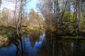 Spring landscape in the forest river on a sunny day. Reflection from the water