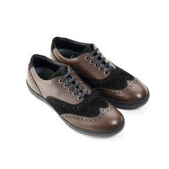 Studio shot of classic male shoes