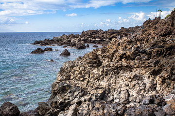 View of a rocky coast