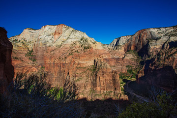 View to Zion observation point in Zion National park, Utah, USA
