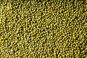  mung beans texture  