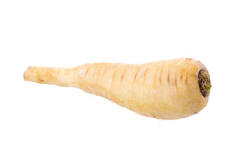 Fresh parsnip roots on a white background
