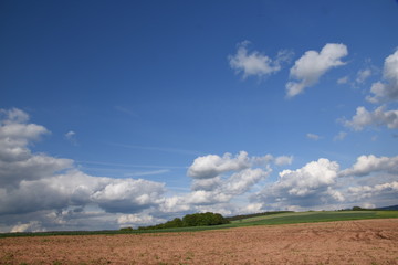 Fototapeta na wymiar Cumulus Wolken über Felder 