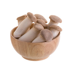 fresh origin mushroom on a white background