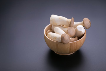 fresh origin mushroom on a black background