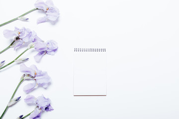 Blue flowers and notebook lie on a white background