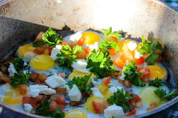 Eggs of filed eggs
