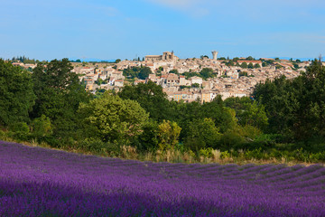 Village and lavender in Provence
