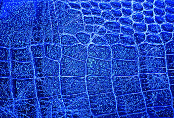 Blue alligator patterned background