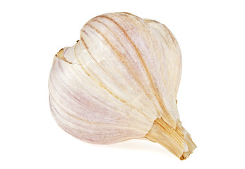 Head of garlic isolated on a white background