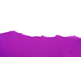 Violet lacerated paper for your illustrations