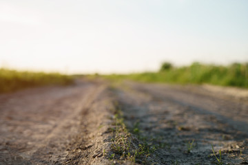 old rural dust road in sunset light