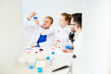 Scientists at laboratory