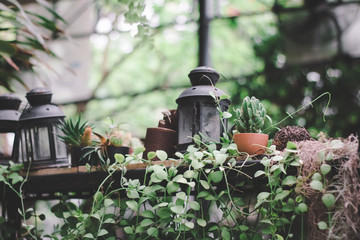 Vintage decoration style of garden with small pot and plants.