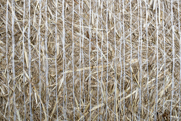 détail de botte de foin