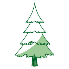 christmas tree pine decoration ornament design vector illustration