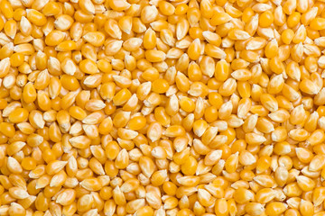 Raw popcorn background