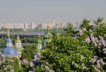 Fototapeta na wymiar Beautiful view of the city surrounded by lilacs