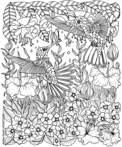 450 Coloring Pages Hummingbirds Flowers Pictures