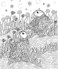 Puffins and flowers coloring page