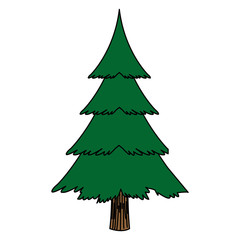 christmas tree pine decoration ornament design vector illustration