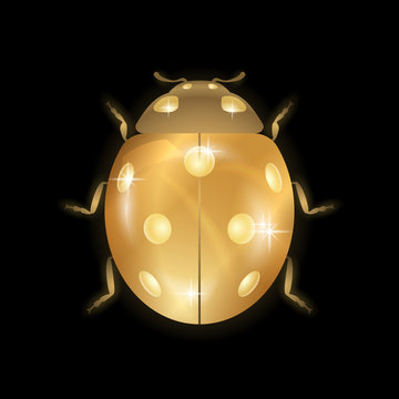 Ladybug gold insect small icon. Golden metal lady bug animal sign, isolated on black background. 3d volume bright design. Cute shiny jewelry ladybird. Lady bird closeup beetle. Vector illustration