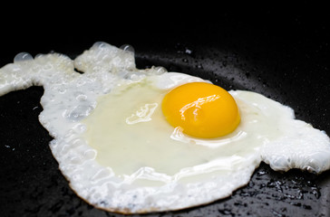 fried egg sunny side up