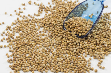 Un montón de cilantro y un recogedor de plastico