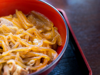 Gyuu Don, Rice with Rosted Beef