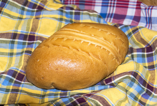 Russian traditional pie pierog pirog