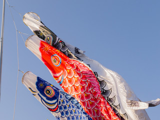 Japanese Carp Flag, Koinobori