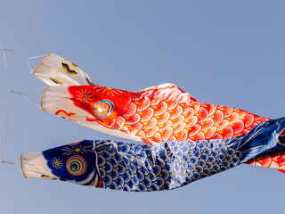 Japanese Carp Flag, Koinobori