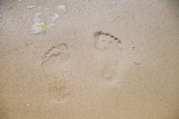 Beach with yellow sand, big rocks and beautiful waves, ocean beach, sea beach
