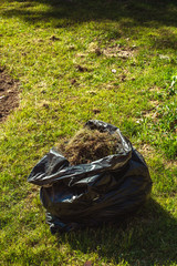A bag of grass is like trash on nature. A park worker folded dry grass into a plastic bag, which will help keep the surrounding nature clean.