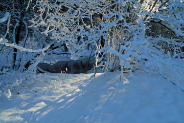 am fluss im winter