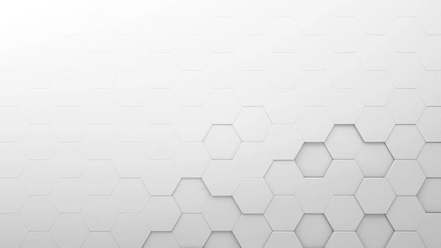 Geometry Honey comp Clean Background