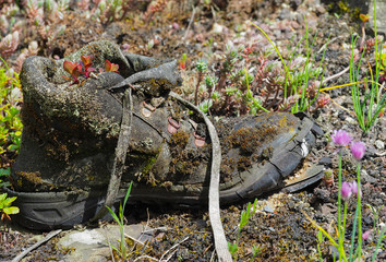 Alter Schuh auf dem Dach