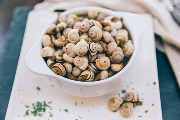 Snails, delicious french or spanish delicatessen, traditional cuisine of France, Spain. Tapas, appetizer, gourmet, food still life