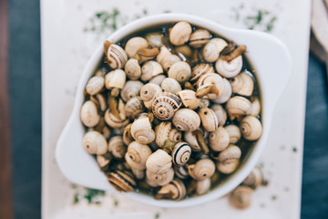 Snails, delicious french or spanish delicatessen, traditional cuisine of France, Spain. Tapas, appetizer, gourmet, food still life