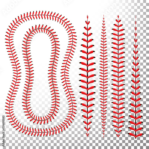 "Baseball Stitches Vector. Lace From A Baseball Isolated ...