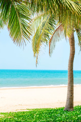 coconut trees on the sunny tropical beach