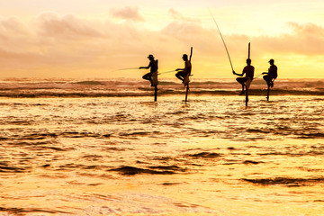 Traditional fishermen on sticks at the sunset in Sri Lanka.