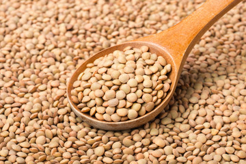 raw lentils on white, (large depth of field, taken with tilt shift lens)