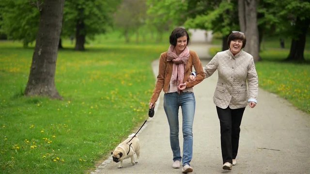 Adult Daughter Wearing Jeans and Scarf is Walking with Her Mother in White Jacket. Family Walk with Little Dog in Spring.
