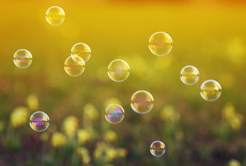 shiny iridescent soap bubbles flying over the Sunny meadow