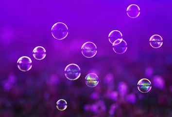 festive background with many shiny iridescent soap bubbles fly lilac meadow