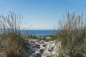 Fototapeta na wymiar Beautiful quiet beach on the Baltic Sea