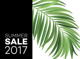 Sale banner, poster with palm leaves, jungle leaf and handwriting lettering. Floral tropical summer background. Vector illustration