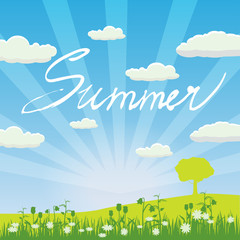 Obraz premium Summer lettering hand-drawn on a background of grass, chamomile flowers sky, clouds, banner, isolated, vector, illustration