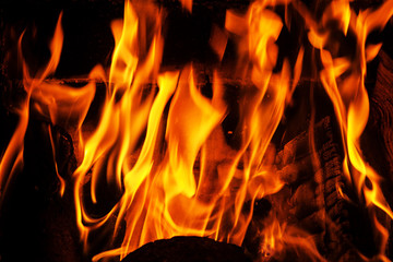 Fire. Background. Element. The concept of nature.